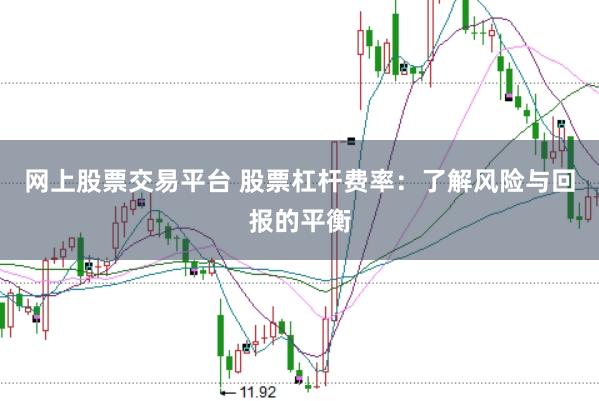 网上股票交易平台 股票杠杆费率：了解风险与回报的平衡