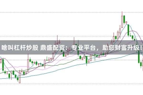 啥叫杠杆炒股 鼎盛配资：专业平台，助您财富升级！