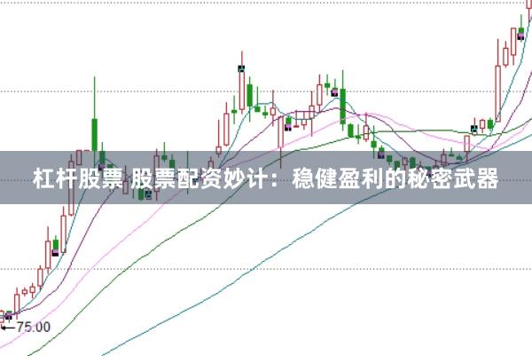 杠杆股票 股票配资妙计：稳健盈利的秘密武器