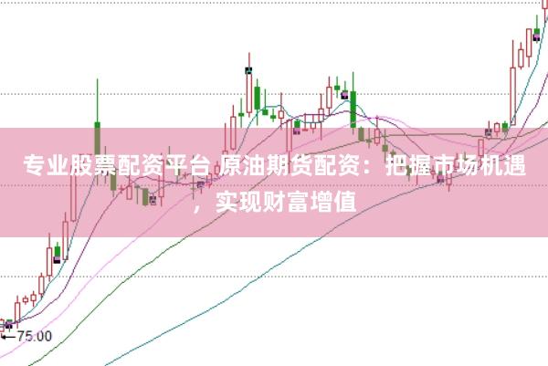 专业股票配资平台 原油期货配资：把握市场机遇，实现财富增值