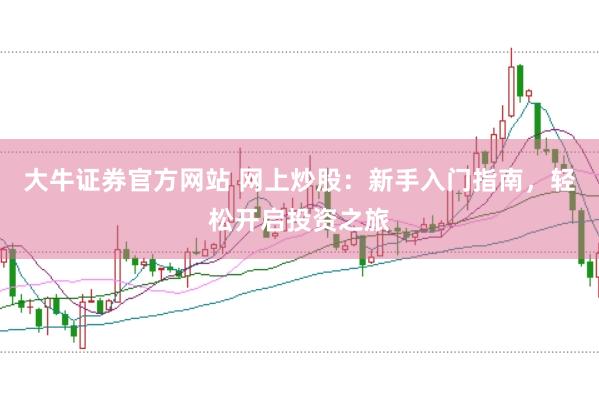 大牛证券官方网站 网上炒股：新手入门指南，轻松开启投资之旅