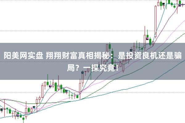 阳美网实盘 翔翔财富真相揭秘：是投资良机还是骗局？一探究竟！