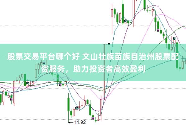 股票交易平台哪个好 文山壮族苗族自治州股票配资服务，助力投资者高效盈利