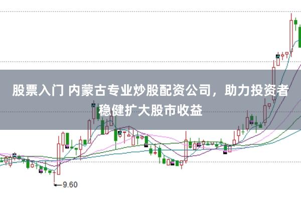 股票入门 内蒙古专业炒股配资公司，助力投资者稳健扩大股市收益