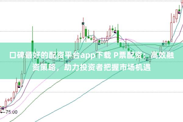 口碑最好的配资平台app下载 P票配资：高效融资策略，助力投资者把握市场机遇