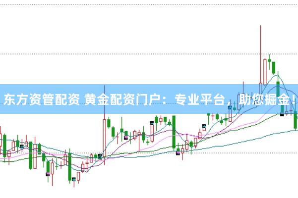 东方资管配资 黄金配资门户：专业平台，助您掘金！