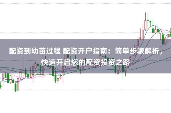 配资到幼苗过程 配资开户指南:简单步骤解析,快速开启您的配资投资之路