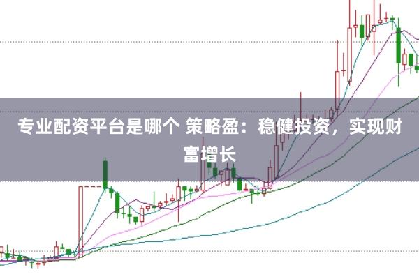 专业配资平台是哪个 策略盈:稳健投资,实现财富增长