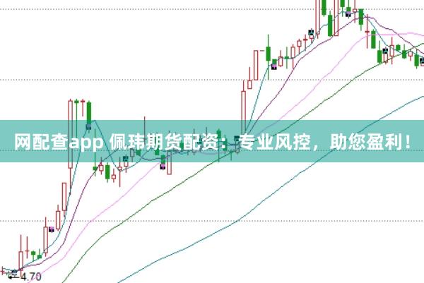 网配查app 佩玮期货配资:专业风控,助您盈利!