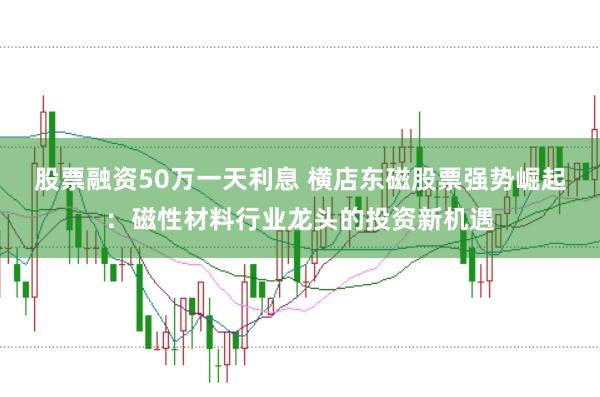 股票融资50万一天利息 横店东磁股票强势崛起:磁性材料行业龙头的投资新机遇