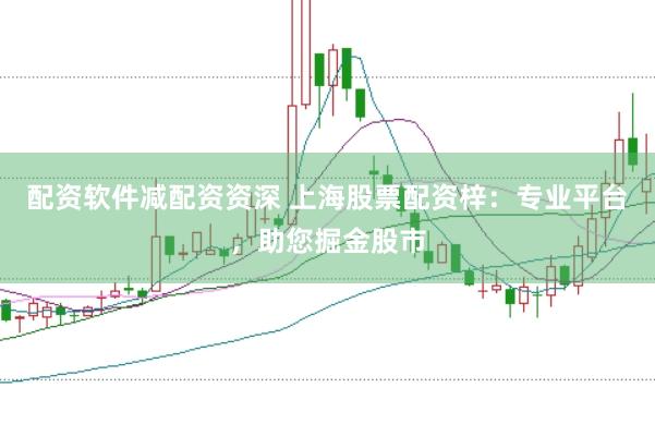 配资软件减配资资深 上海股票配资梓：专业平台，助您掘金股市
