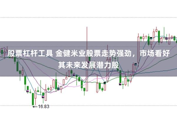 股票杠杆工具 金健米业股票走势强劲，市场看好其未来发展潜力股
