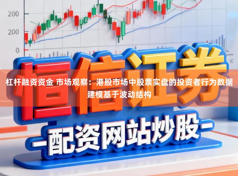 杠杆融资资金 市场观察:港股市场中股票实盘的投资者行为数据建模基于波动结构
