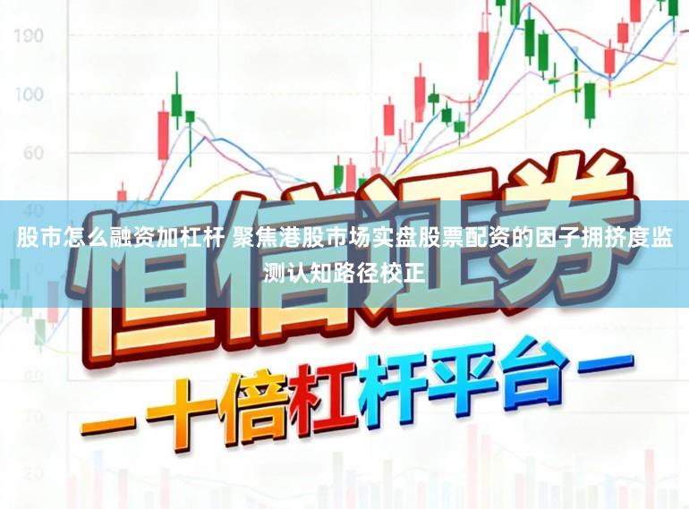股市怎么融资加杠杆 聚焦港股市场实盘股票配资的因子拥挤度监测认知路径校正